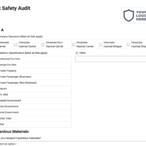 Dot Safety Audit